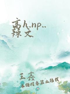 高h.np..辣文
