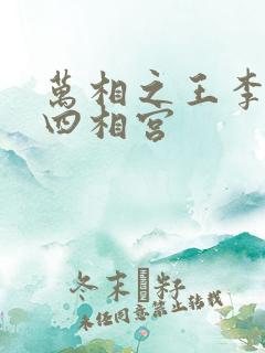 万相之王李洛第四相宫