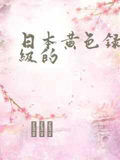 日本黄色录像一级的