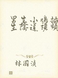 男生小鸡插入女生阴道视频