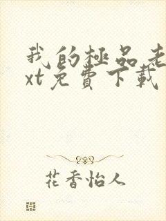 我的极品老婆txt免费下载