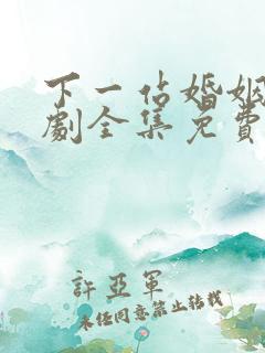 下一站婚姻电视剧全集免费观看播放