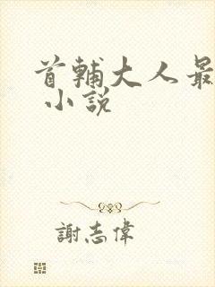 首辅大人最宠妻 小说