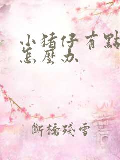 小猪仔有点拉稀怎么办