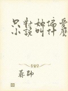 只对她偏爱原著小说叫什么名字