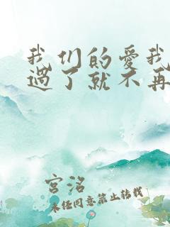我们的爱我明白过了就不再回来歌词