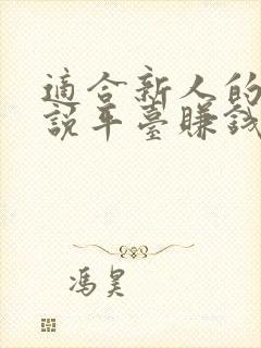 适合新人的写小说平台赚钱