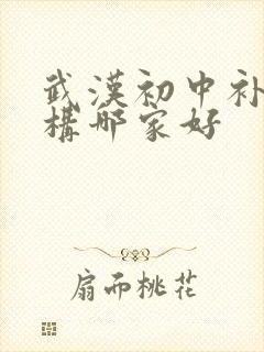 武汉初中补习机构哪家好