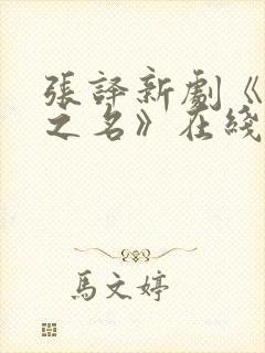 张译新剧《以法之名》在线观看