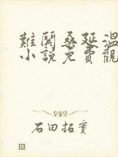 难哄桑延温以凡小说免费观看