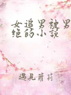 女追男被男主拒绝的小说