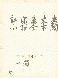 许你万丈光芒好小说全本阅读全文