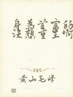 身为首富的我真没想重生啊小说