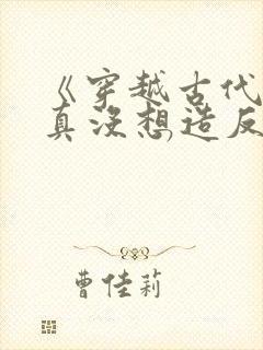 《穿越古代,我真没想造反啊》小说