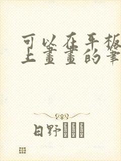 可以在平板电脑上画画的笔