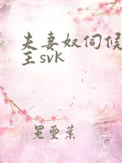 夫妻奴伺候夫妻主svk