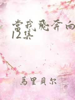 当我飞奔向你第12集