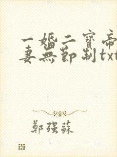一婚二宝帝少宠妻无节制txt下载