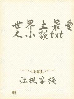 世界上最爱我的人小说txt