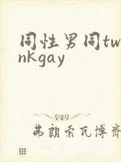 同性男同twinkgay