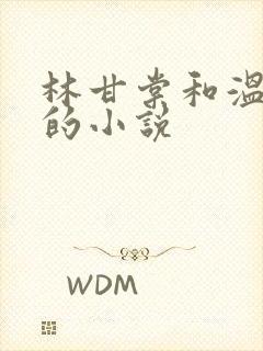 林甘棠和温晏清的小说
