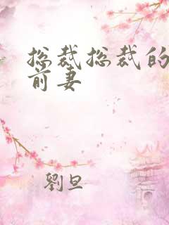 总裁总裁的天价前妻