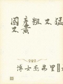 国产粗又猛又爽又黄