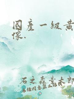 国产一级黄色录像.