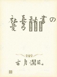 社长秘书の人妻爱弓りょう