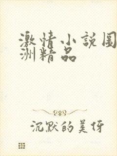 激情小说图片亚洲精品