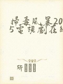 扫毒风暴2025电视剧在线播放免费观看全集