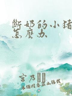 断奶的小猪拉稀怎么办