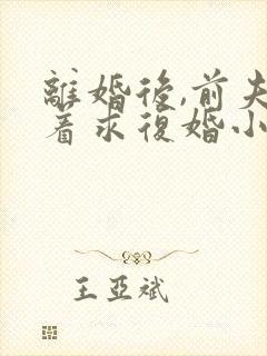 离婚后,前夫哭着求复婚小说正版