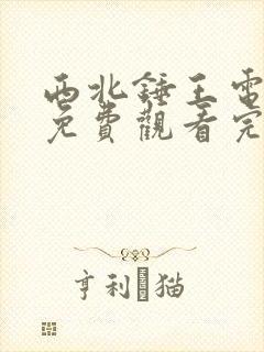 西北锤王电视剧免费观看完整版