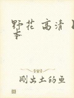 野花 高清 日本