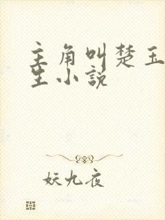 主角叫楚玉的重生小说