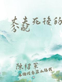 丈夫死后的财产分配