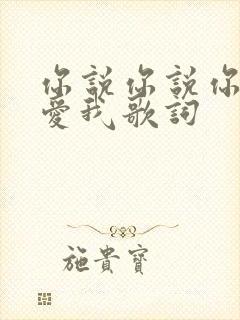 你说你说你一直爱我歌词