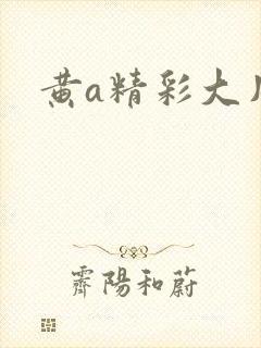 黄a精彩大片