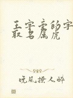 王字旁的字男孩取名属虎