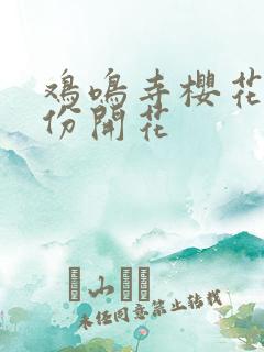 鸡鸣寺樱花几月份开花