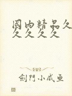 国内精品久久久久久久久