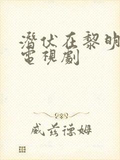 潜伏在黎明之前电视剧