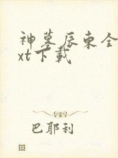 神墓辰东全本txt下载