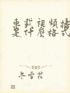 车载视频播放器是什么格式