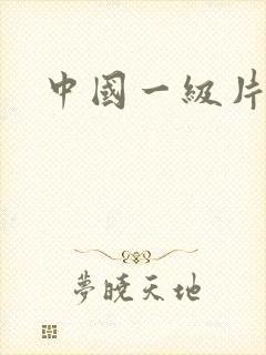 中国一级片av