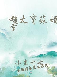 赵大宝苏媚第6章