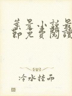 叶晨小说最新章节免费阅读全文