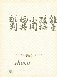 离婚小孩能不能判共同抚养权