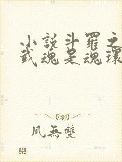 小说斗罗之我的武魂是魂环